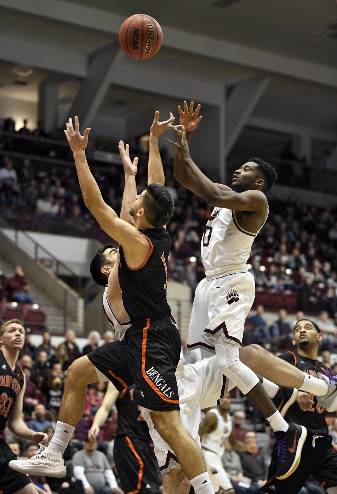 montana vs idaho state 01.JPG